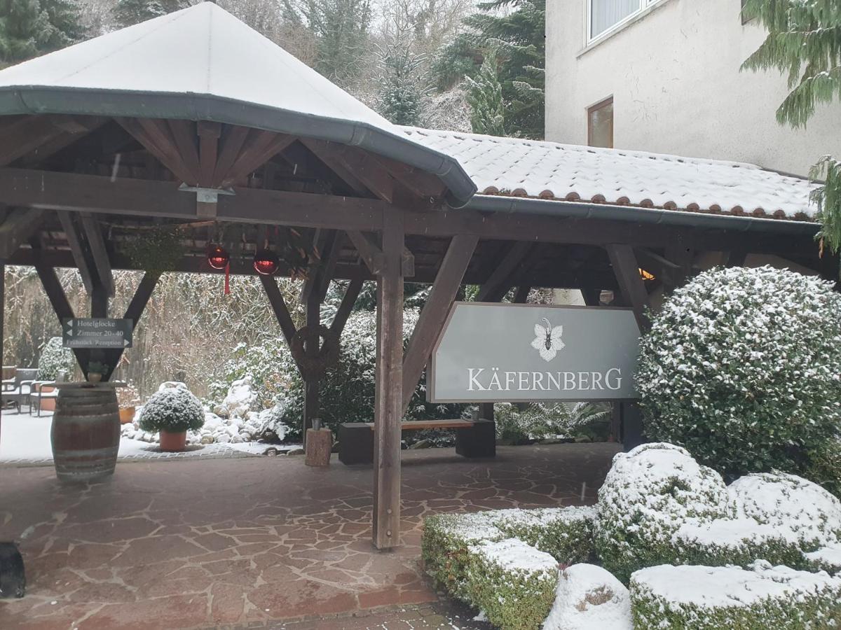 Kafernberg - Weinhotel Alzenau in Unterfranken Exterior photo